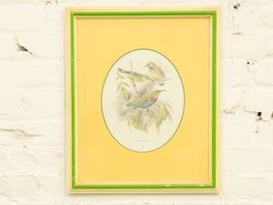 Vintage Birds by George Edwards