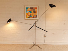 Load image into Gallery viewer, Doublepod by David Weeks

