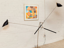 Load image into Gallery viewer, Doublepod by David Weeks
