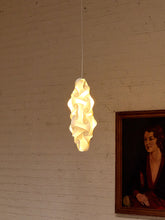 Load image into Gallery viewer, Hanging Sculptural Pendant Lamp
