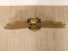 Load image into Gallery viewer, Antique 1930s Brass Folding Fan Fireplace Screen with Classical Figural Motif
