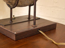 Load image into Gallery viewer, Ammonite Fossil Table Lamp with Black Drum Shade
