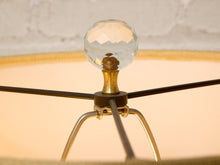 Load image into Gallery viewer, Vintage Speer Lucite &amp; Brass Floor Lamp

