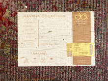 Load image into Gallery viewer, Vintage Persian Style Distressed Red Area Rug

