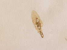 Load image into Gallery viewer, A single small, irregular beige-brown patch or chip on a plain warm beige background.
