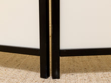 Load image into Gallery viewer, Close-up of a black folding screen or door panel standing open on a woven beige rug against a white wall.
