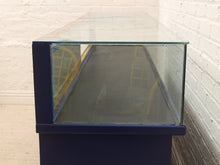 Load image into Gallery viewer, A rectangular glass display case with a dark navy blue base and frame, photographed against a white brick wall.
