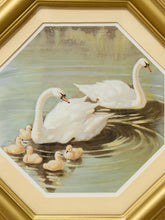 Load image into Gallery viewer, Framed octagonal artwork depicting a white swan family with five yellow ducklings on a calm lake, surrounded by a gold-toned frame and cream mat.
