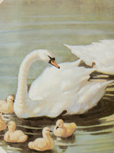Load image into Gallery viewer, A painted scene of a white swan with several pale yellow cygnets swimming on calm water.
