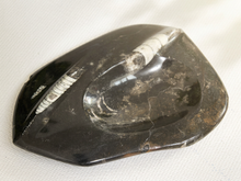 Load image into Gallery viewer, A polished black obsidian stone tool, likely a hand axe or scraper, featuring a natural white band of matrix around its perimeter, resting on a textured off-white fabric background.
