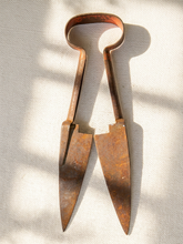 Load image into Gallery viewer, Antique primitive metal sheep shears with tapered blades, spring handles, and heavily aged rusted patina

