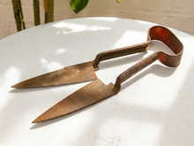 Load image into Gallery viewer, Antique primitive metal sheep shears with tapered blades, spring handles, and heavily aged rusted patina
