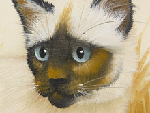 Load image into Gallery viewer, Close-up painting of a cat's face with cream and white fur, a dark brown and black muzzle, and bright blue eyes on a light beige background.

