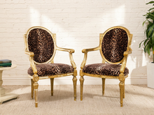 Load image into Gallery viewer, Two matching armchairs with ornate gold frames and leopard-print upholstered seats and oval backs, shown in a bright room against a white brick wall.
