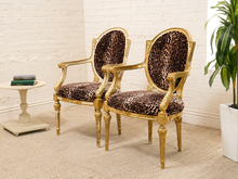 Load image into Gallery viewer, Two matching armchairs with gold frames and leopard-print upholstery, set in a bright room with a white brick wall, beige carpet, a small side table, and a potted plant.
