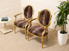 Load image into Gallery viewer, Two vintage-style armchairs with gold gilded frames and leopard-print upholstery, set in a room with a white brick wall, beige carpet, a side table, and a potted plant.
