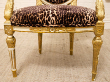 Load image into Gallery viewer, A close-up of an ornate French-style chair featuring a gold gilded frame and a plush seat cushion upholstered in a brown and beige leopard print velvet.

