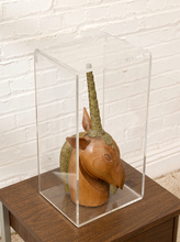 Load image into Gallery viewer, Carved wood unicorn head sculpture with ornate metallic spiral horn displayed inside a clear rectangular acrylic case
