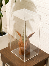 Load image into Gallery viewer, Carved wood unicorn head sculpture with ornate metallic spiral horn displayed inside a clear rectangular acrylic case
