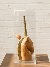 Load image into Gallery viewer, Carved wood unicorn head sculpture with ornate metallic spiral horn displayed inside a clear rectangular acrylic case

