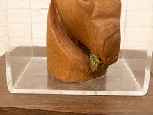 Load image into Gallery viewer, A close-up of a sculptural wooden horse head with a textured green and gold pattern around its lower jaw, displayed inside a clear acrylic block on a dark wooden surface.
