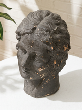 Load image into Gallery viewer, Vintage classical female head sculpture with intricately styled hair, dark textured finish, and weathered aged surface
