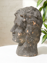 Load image into Gallery viewer, A dark textured stone or concrete classical bust sculpture of a man's head in profile, displayed on a white surface against a white brick wall with green leaves in the background.
