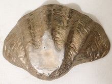 Load image into Gallery viewer, Vintage Sculptural Metal Clam Shell Bowl
