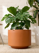 Load image into Gallery viewer, Vintage large cylindrical planter with warm terracotta-toned finish, rounded rim, deep interior, and naturally aged surface
