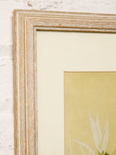 Load image into Gallery viewer, Vintage framed portrait of a Hawaiian hula dancer with floral hair adornment and tropical foliage in muted green and cream tones
