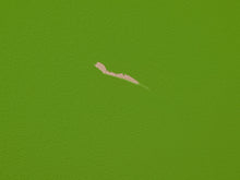 Load image into Gallery viewer, Image 13 of 16: A close-up of a bright green textured surface with a small, irregular beige scratch or mark near the center.
