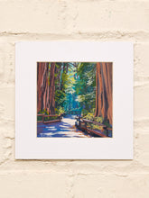 Load image into Gallery viewer, California redwoods landscape art by D. Rose with towering redwood trees, shaded forest path, green foliage, and cream mat
