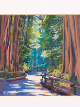 Load image into Gallery viewer, California redwoods landscape art by D. Rose with towering redwood trees, shaded forest path, green foliage, and cream mat
