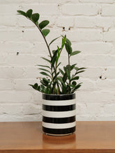 Load image into Gallery viewer, Small Black &amp; White Striped Planter
