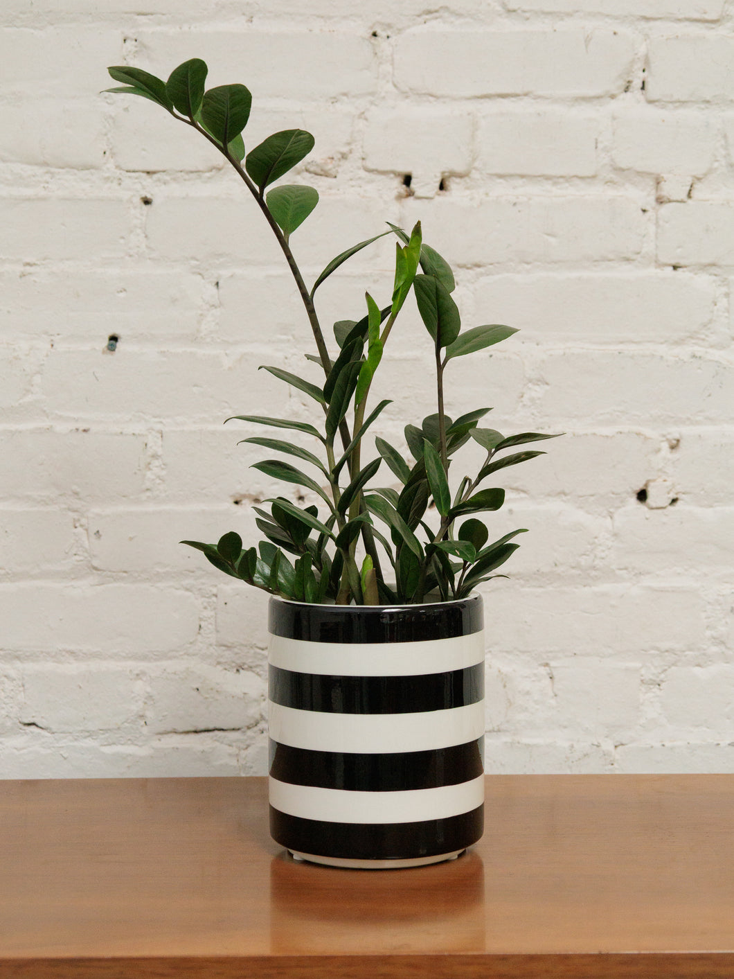 Small Black & White Striped Planter
