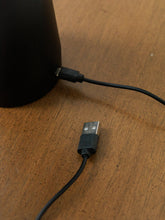 Load image into Gallery viewer, Black Mushroom Lamp
