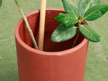 Load image into Gallery viewer, Rust Plinth Orange Small Planter
