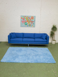 Blue Shag Rug