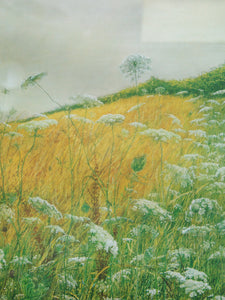 Summer Wildflowers Framed Countryside Landscape Print