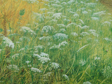 Load image into Gallery viewer, Summer Wildflowers Framed Countryside Landscape Print
