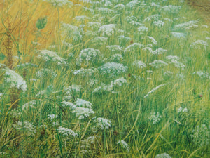 Summer Wildflowers Framed Countryside Landscape Print