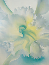 Load image into Gallery viewer, An Orchid a pastel on paper artwork Print by Georgia O&#39;Keeffe from 1941
