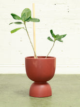 Load image into Gallery viewer, Rust Orange Large Planter
