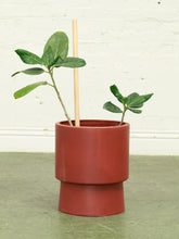 Load image into Gallery viewer, Rust Plinth Orange Large Planter
