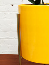 Load image into Gallery viewer, Large Yellow Planter with gold base
