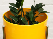 Load image into Gallery viewer, Large Yellow Planter with gold base
