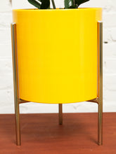 Load image into Gallery viewer, Large Yellow Planter with gold base
