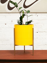 Load image into Gallery viewer, Large Yellow Planter with gold base
