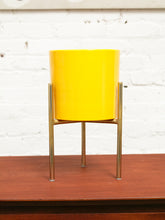 Load image into Gallery viewer, Medium Yellow Planter with gold base

