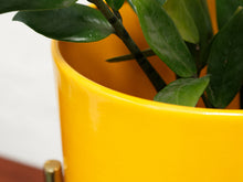 Load image into Gallery viewer, Medium Yellow Planter with gold base
